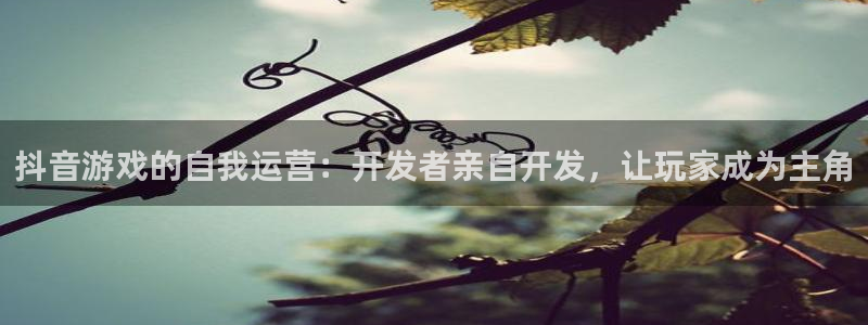 新宝GG涂料(北京)有限公司：抖音游戏的自我运营：开发者亲自开发，让玩家成为主角