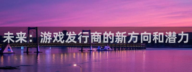 新宝GG子招聘：未来：游戏发行商的新方向和潜力