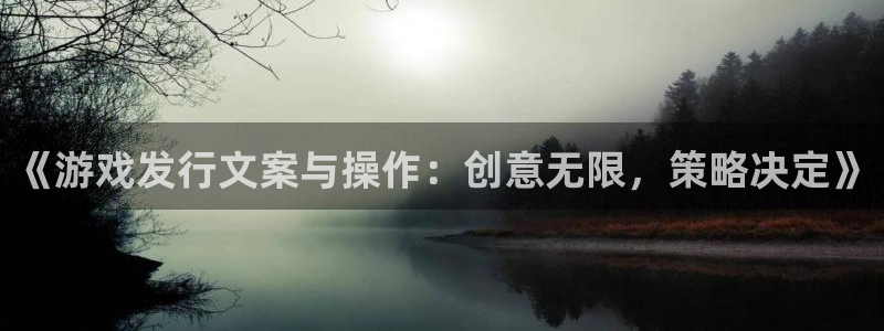 陕西新宝GG子文化创意有限公司是做什么的：《游戏发行文案与操作：创意无限，策略决定》