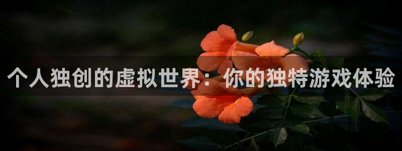 新宝GG官网注册平台官网登录：个人独创的虚拟世界：你的独特游戏体验