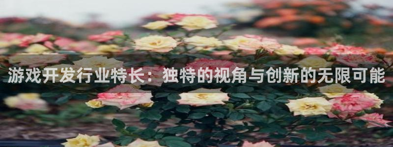 新宝GG子文化创意加好友：游戏开发行业特长：独特的视角与创新的无限可能