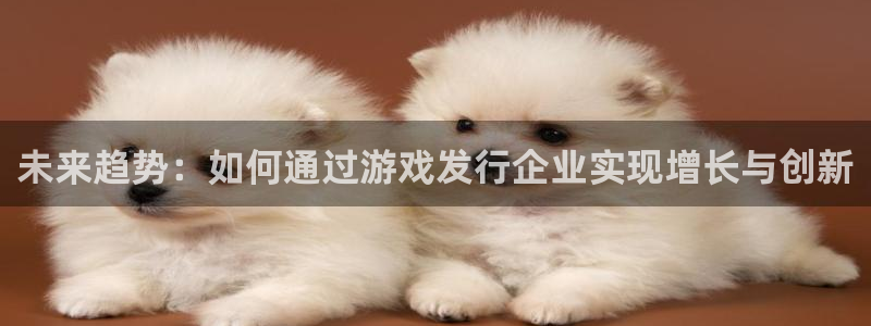 新宝GG官网注册方法是什么软件：未来趋势：如何通过游戏发行企业实现增长与创新