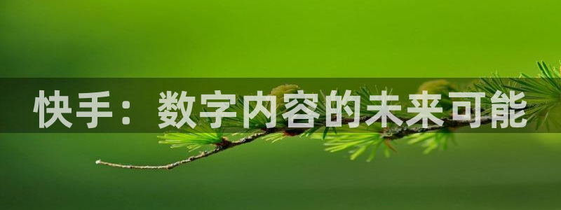 苏州新宝GG网络科技有限公司：快手：数字内容的未来可能