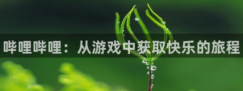 新宝GG官网注册平台怎么注册的：哔哩哔哩：从游戏中获取快乐的旅程