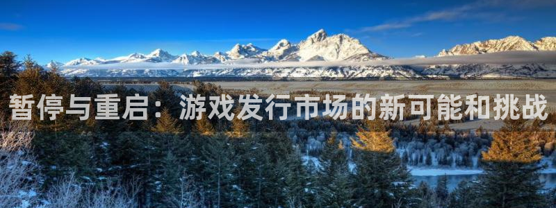 新宝GG官网是赌博么：暂停与重启：游戏发行市场的新可能和挑战