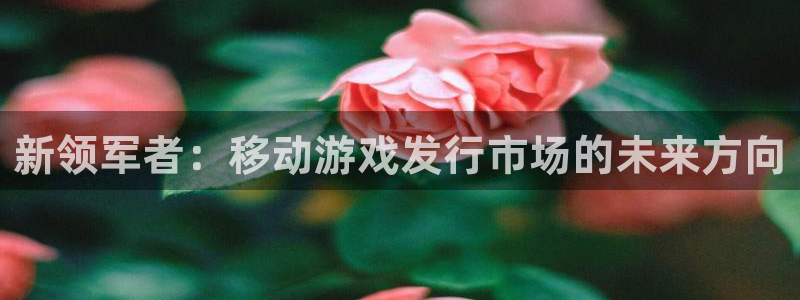 新宝GG子音乐：新领军者：移动游戏发行市场的未来方向