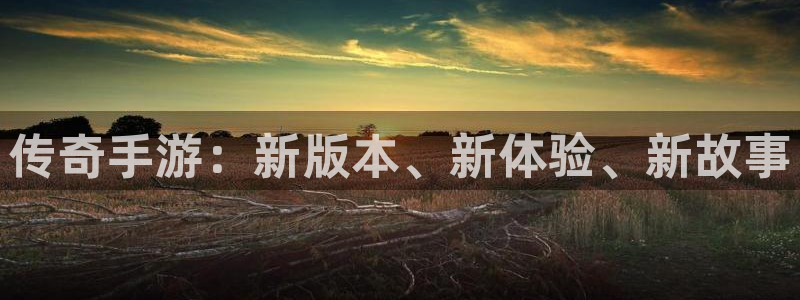 新宝GG电商怎么样可靠吗