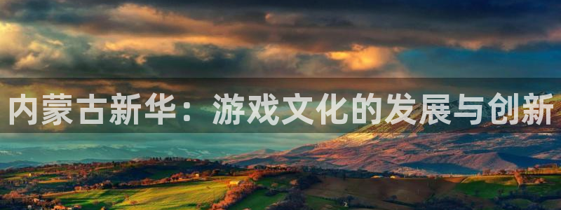 新宝GG烟照片：内蒙古新华：游戏文化的发展与创新