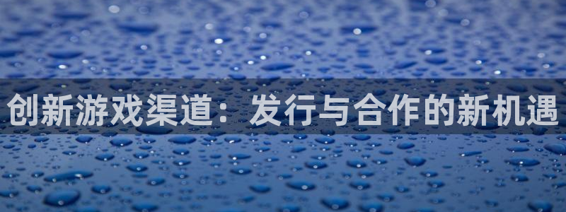 新宝GG官网注册平台怎么注册账号：创新游戏渠道：发行与合作的新机遇