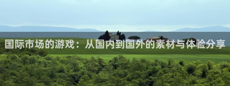 新宝GG官网注册平台怎么样可靠吗：国际市场的游戏：从国内到国外的素材与体验分享