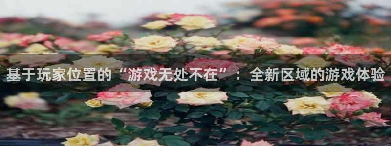 新宝GG有什么寓意：基于玩家位置的“游戏无处不在”：全新区域的游戏体验