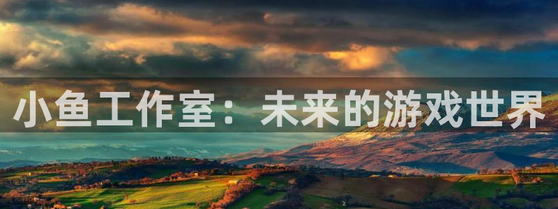 新宝GG电商怎么样