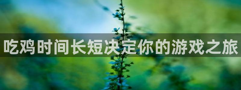 东莞新宝GG信息科技有限公司