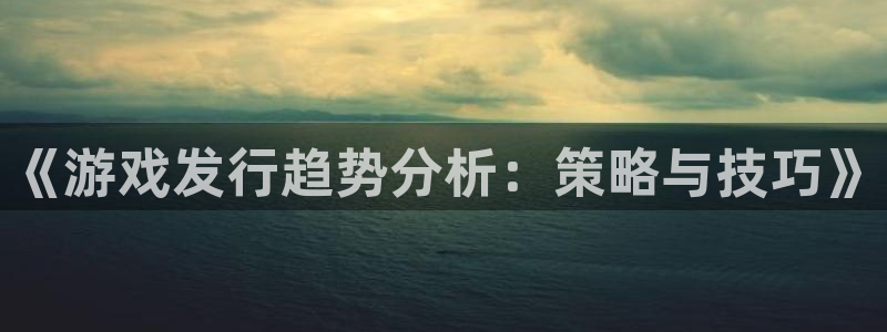 新宝GG电子商务有限公司怎么样知乎