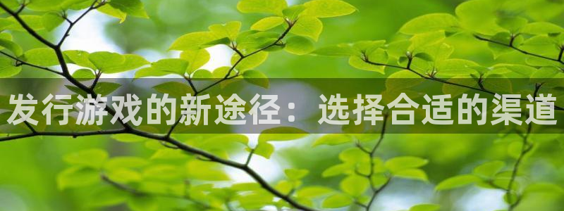 新宝GG官网注册方法是什么软件：发行游戏的新途径：选择合适的渠道