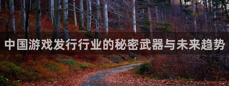 江苏新宝GG人力资源有限公司怎么样