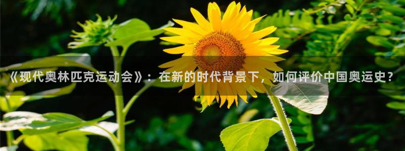 betway西汉姆