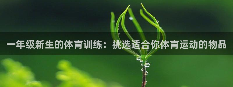 betway西汉姆联