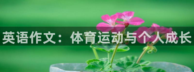 betway西汉姆联官网
