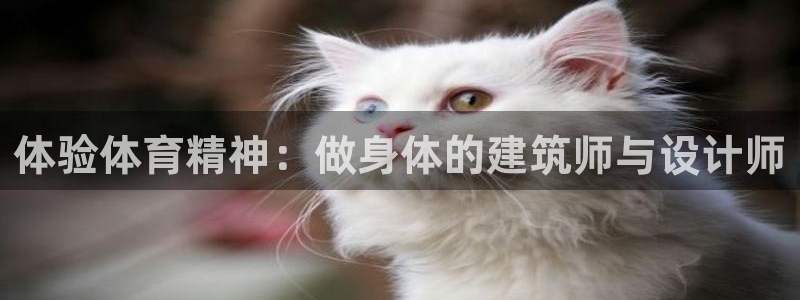 betway西汉姆