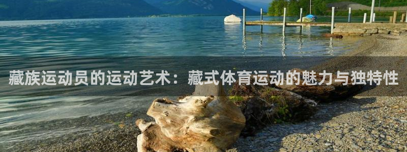 betway西汉姆联