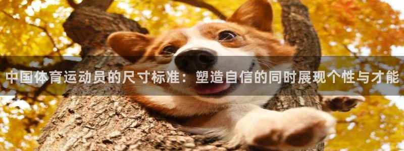 betway西汉姆