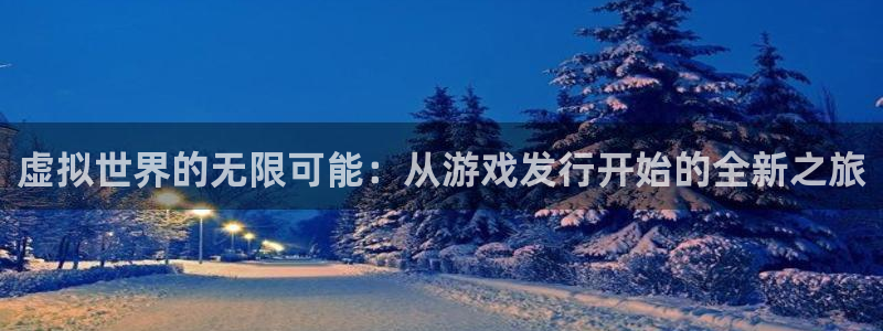 陕西新宝GG子文化公司有什么游戏：虚拟世界的无限可能：从游戏发行开始的全新之旅