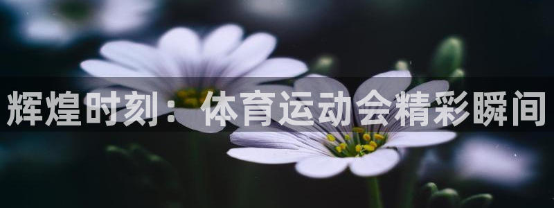 betway西汉姆联官网